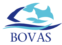 Bovas Jihlava
